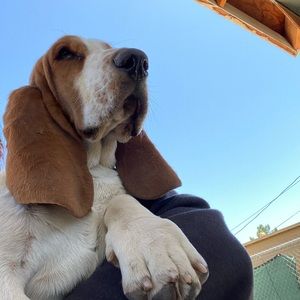 Meet your Posher, Stefany